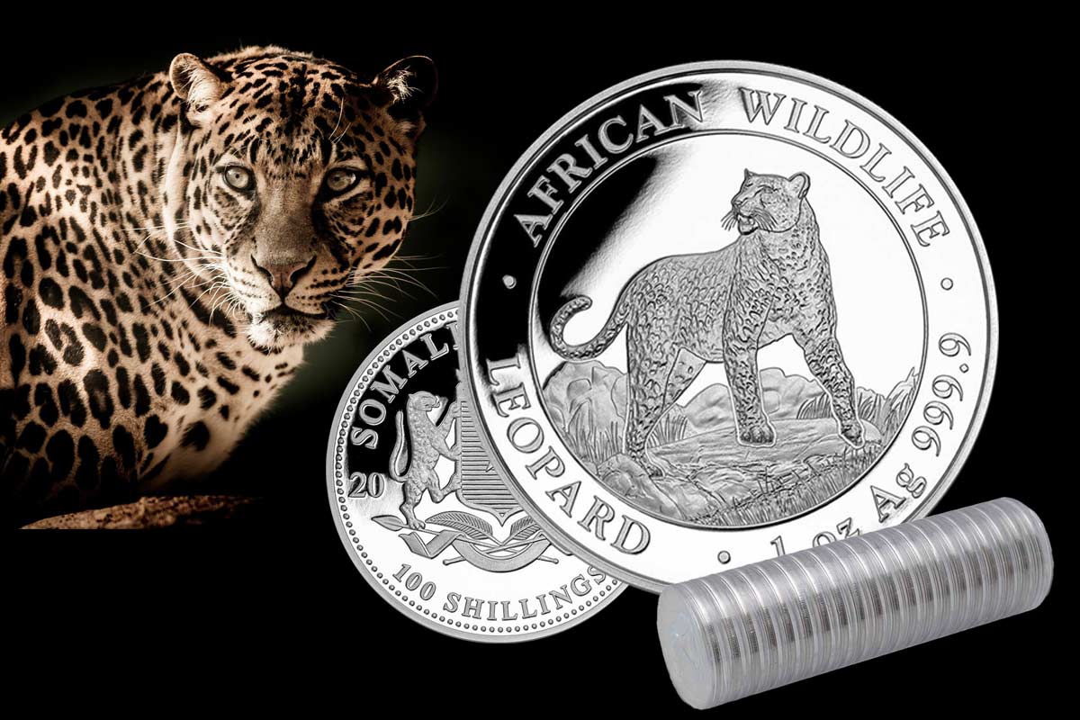 Somalia Leopard Silber 2022: Hier im Preisvergleich!