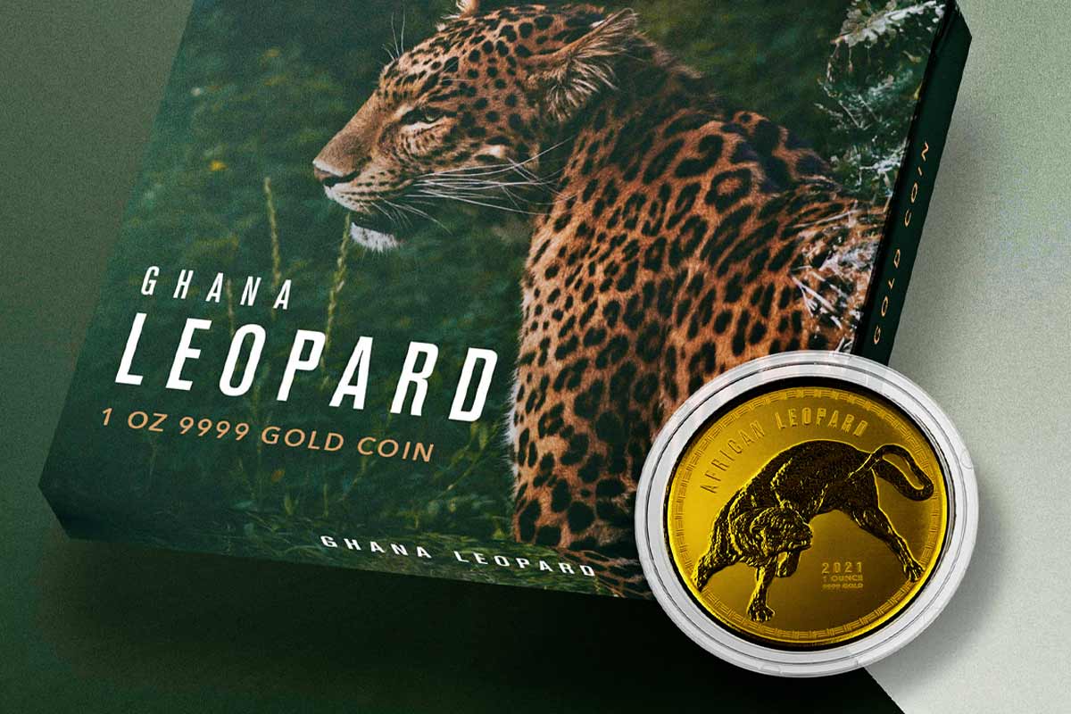 African Leopard Ghana Gold 2021: Jetzt hier vergleichen!