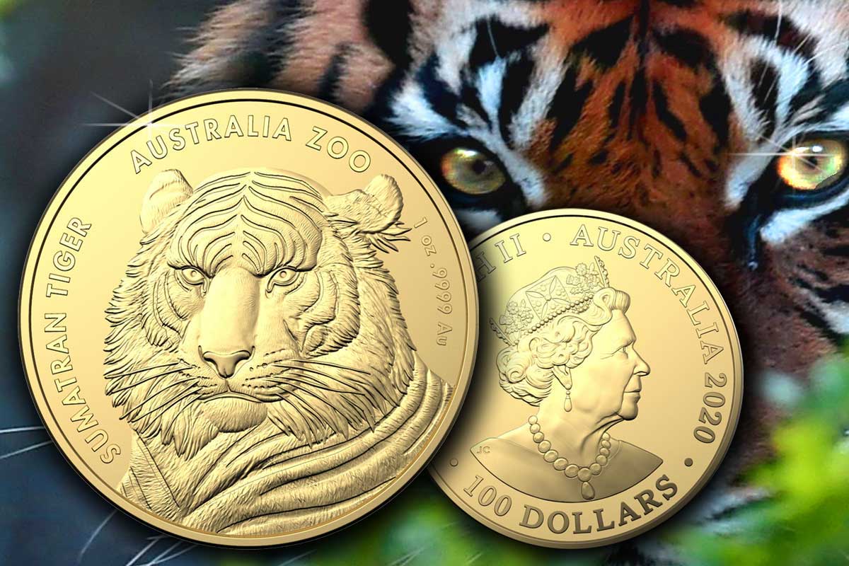 Australia Zoo: Sumatran Tiger 2020 Gold: Jetzt neu!