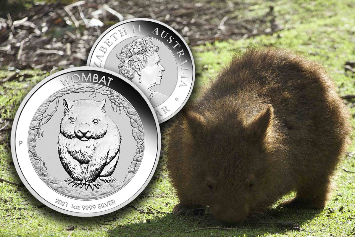 Australian Wombat - Neue Serie in Silber: Jetzt vergleichen!