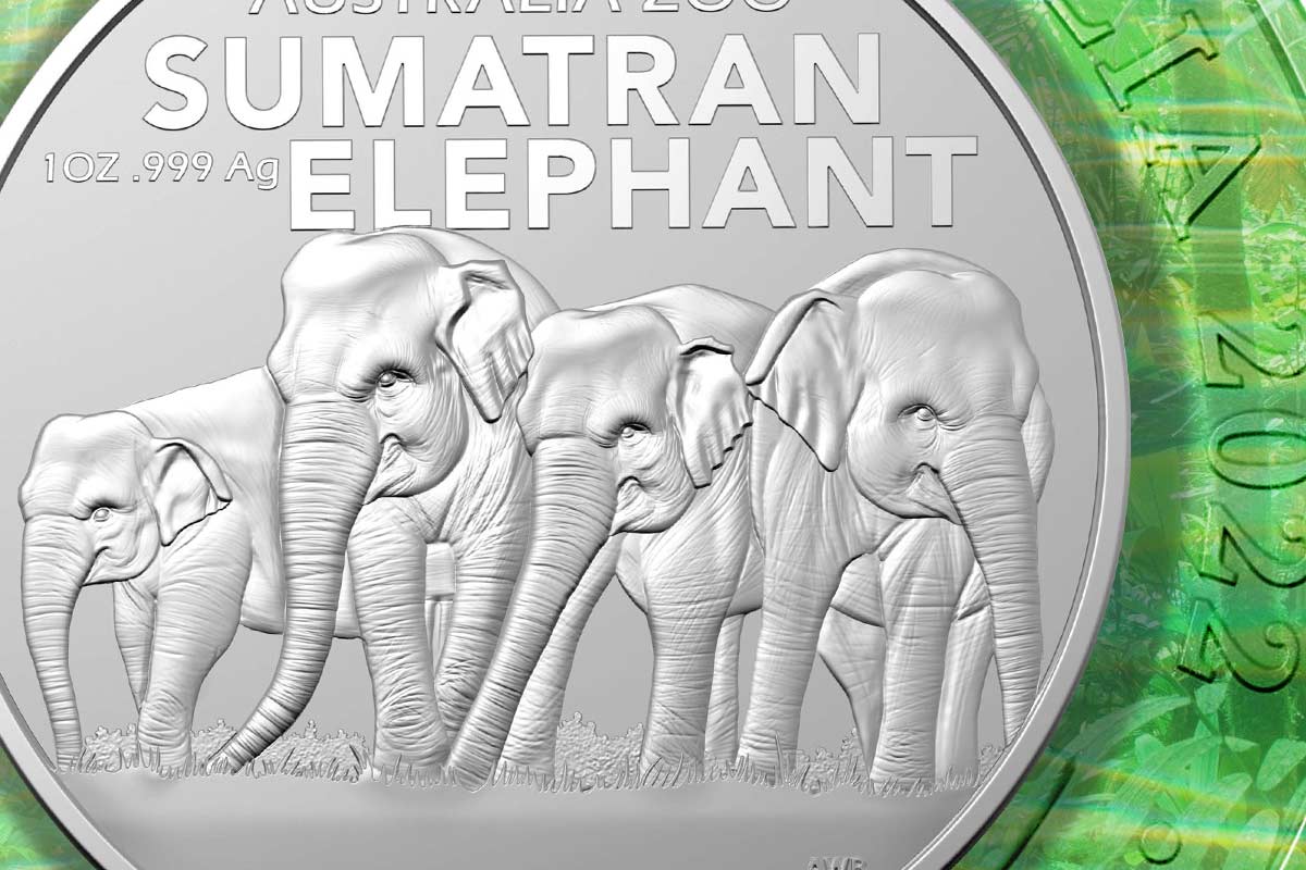 Australia Zoo 2022 - Sumatran Elephant 2022 - jetzt erhältlich!