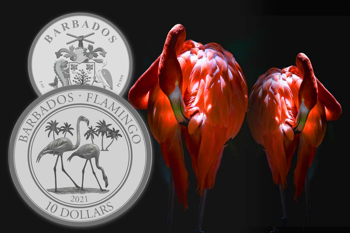 Barbados Flamingo Platin 2021 Neues Motiv jetzt vergleichen! 