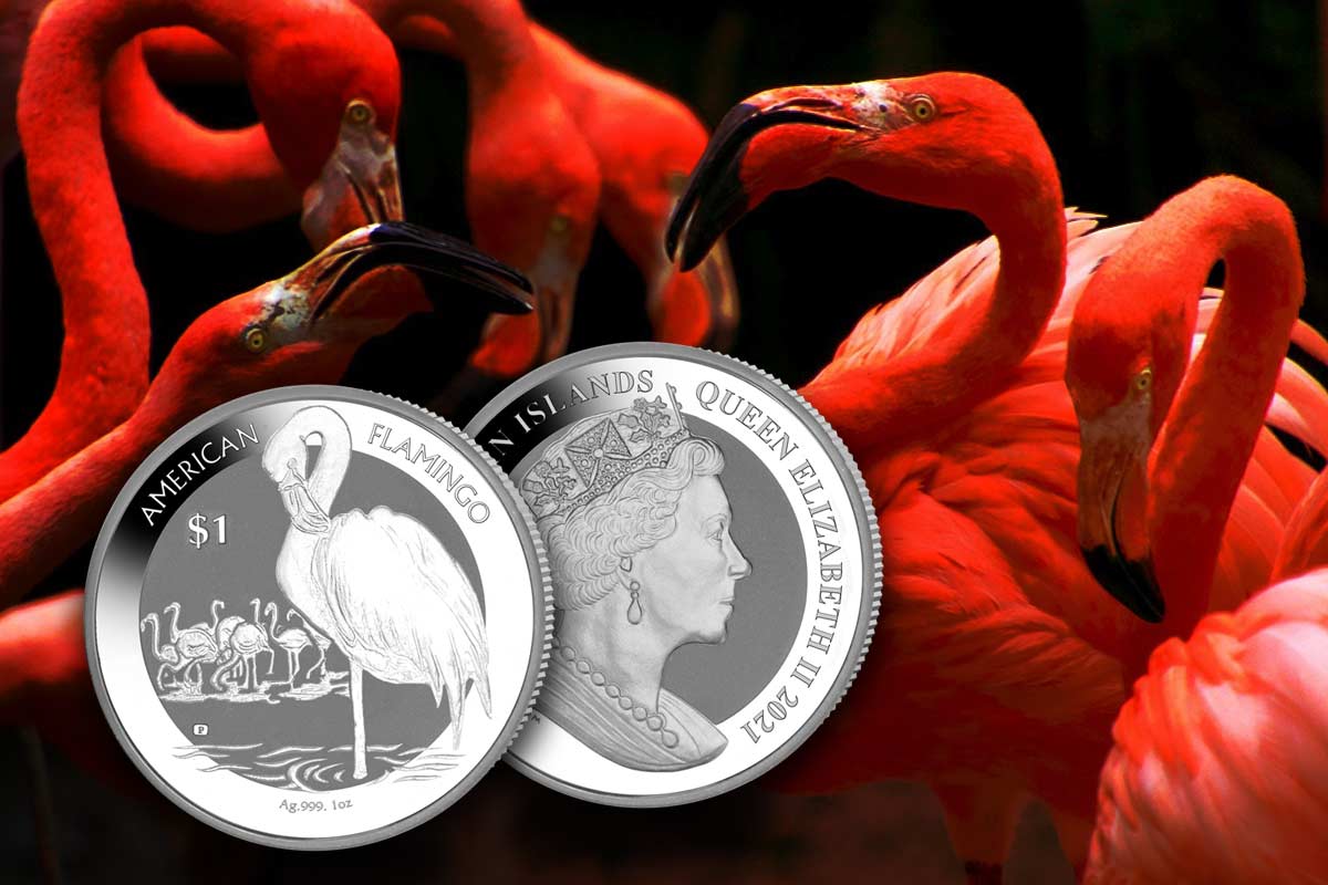 British Virgin Islands American Flamingo 2021 in Silber - Neu bei uns!