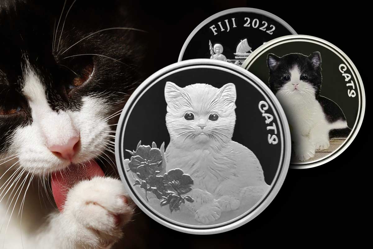 Fiji Cats Silber 2022 – Jetzt neues Motiv erhältlich!