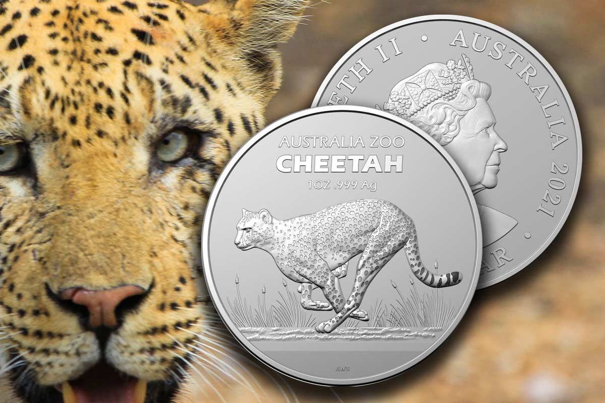 Cheetah 2021 Australia Zoo Silber Serie: Jetzt neu! 