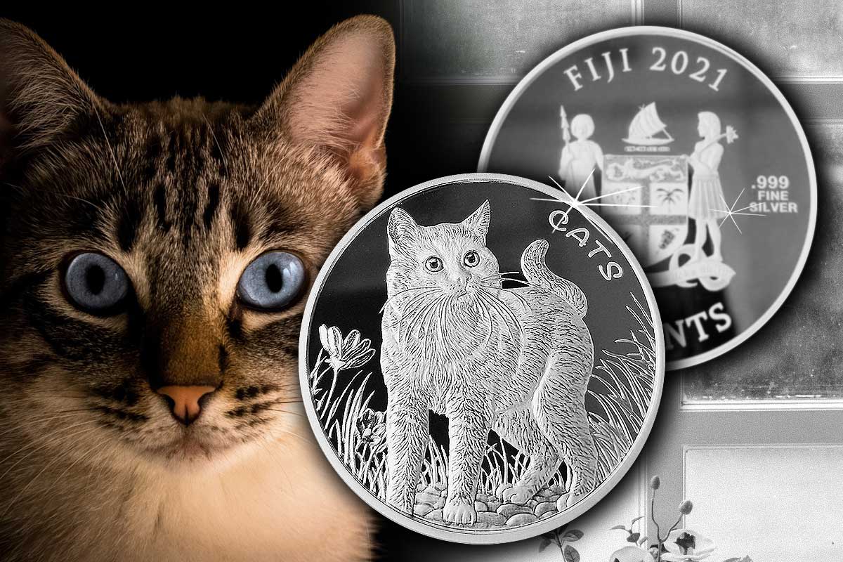 Fiji Cats 2021 in Silber - Neu im Preisvergleich!