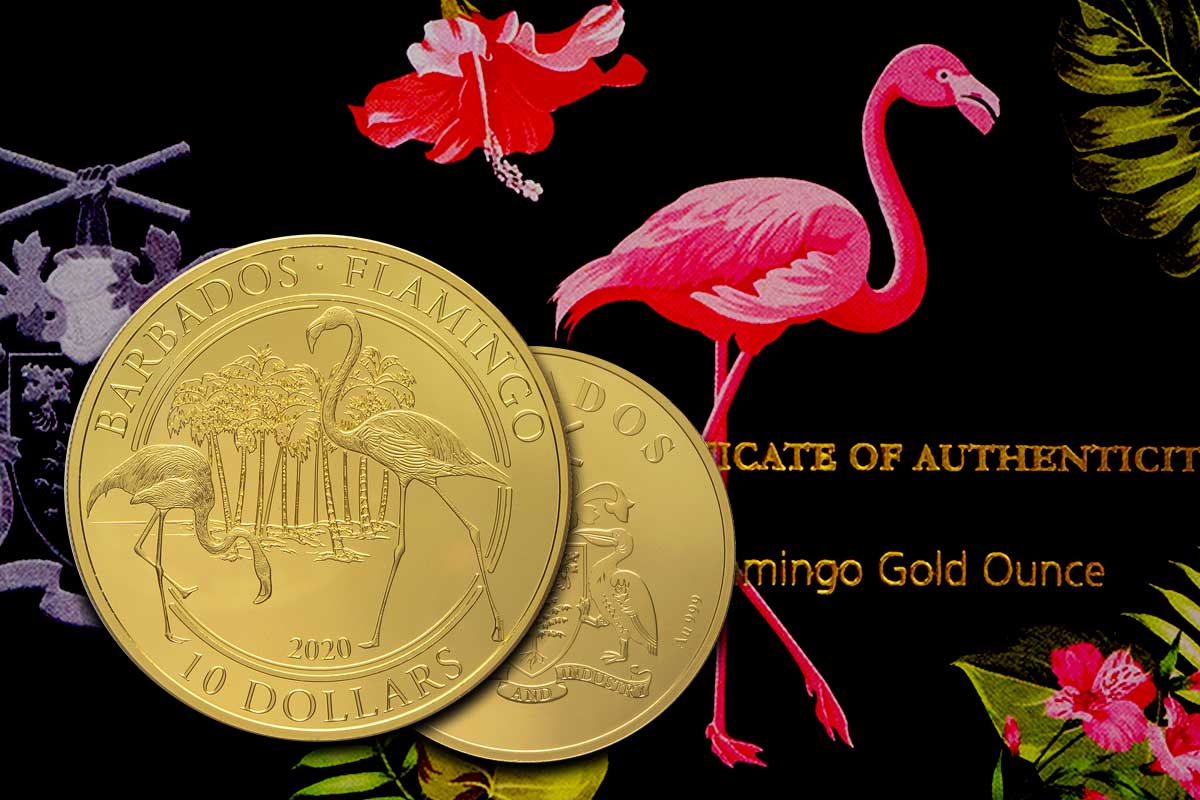 Flamingo Barbados 2020 - Jetzt neu als Goldmünze kaufen!