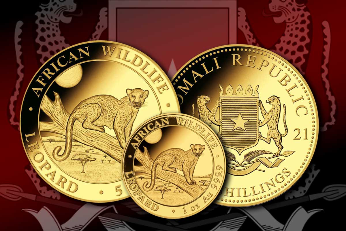 Goldmünze Somalia Leopard 2021 - Jetzt erhältlich!
