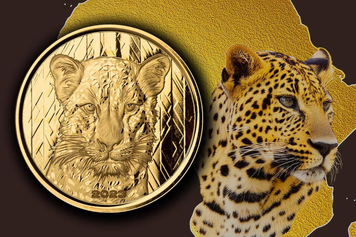 African Leopard Ghana Gold: Jetzt Ausgabe 2023 der majestätischen Raubkatze!