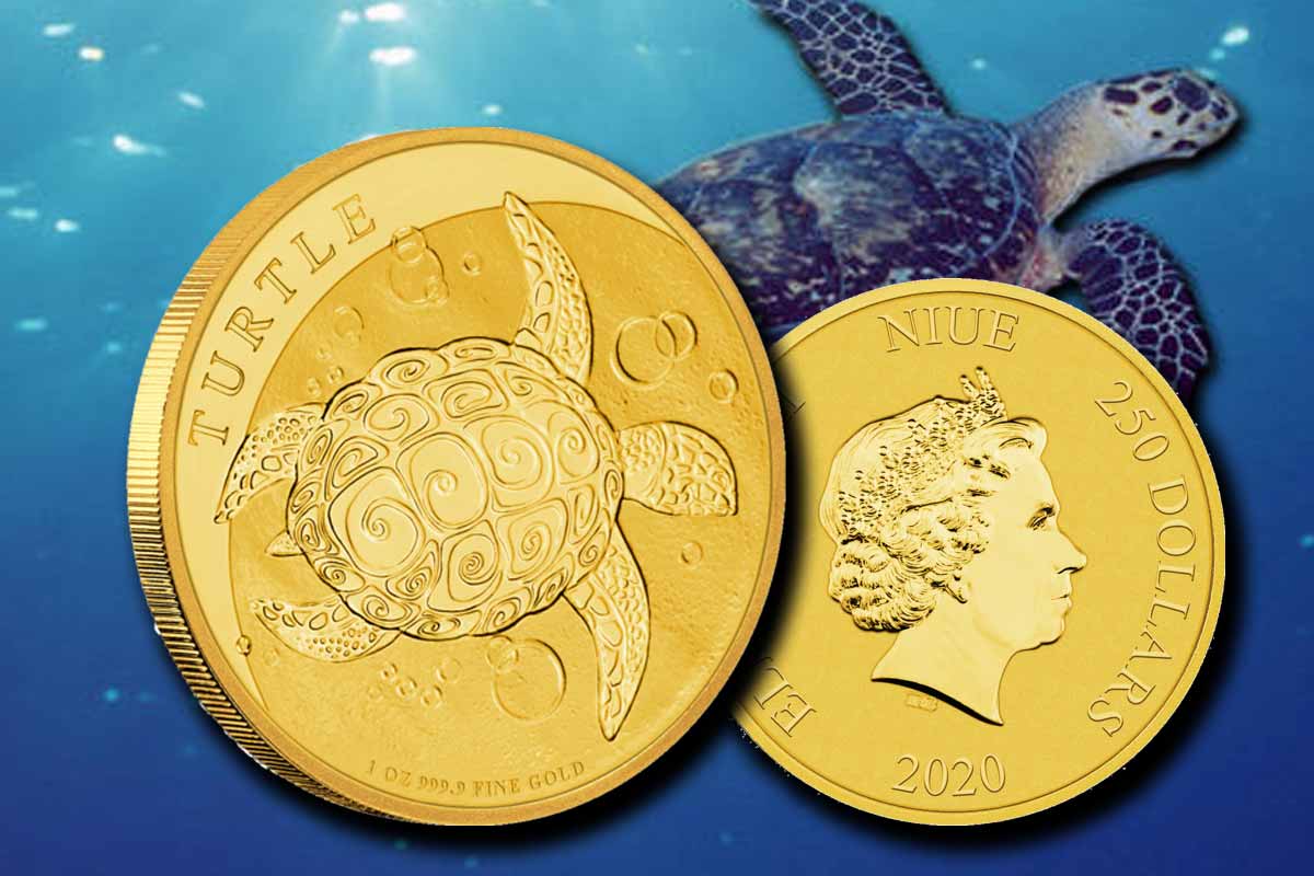 Niue Turtle Schildkröte Gold - Jahrgang 2020 neu!