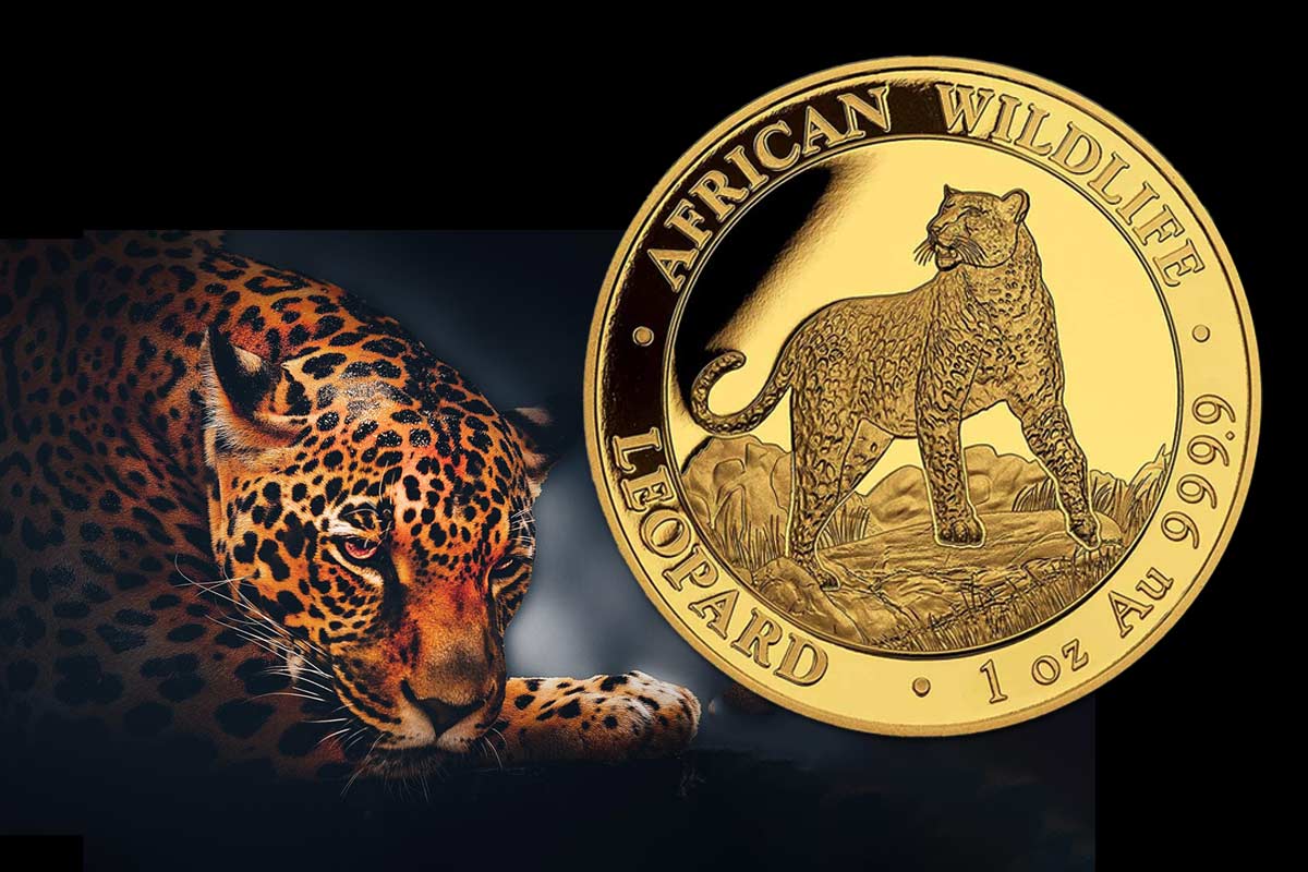 Somalia Leopard Gold: Jahrgang 2022 jetzt erhältlich!