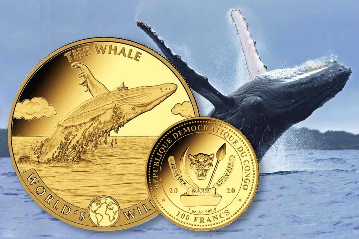 World’s Wildlife Kongo - The Whale 2020 Gold: Neues Motiv jetzt erhältlich!