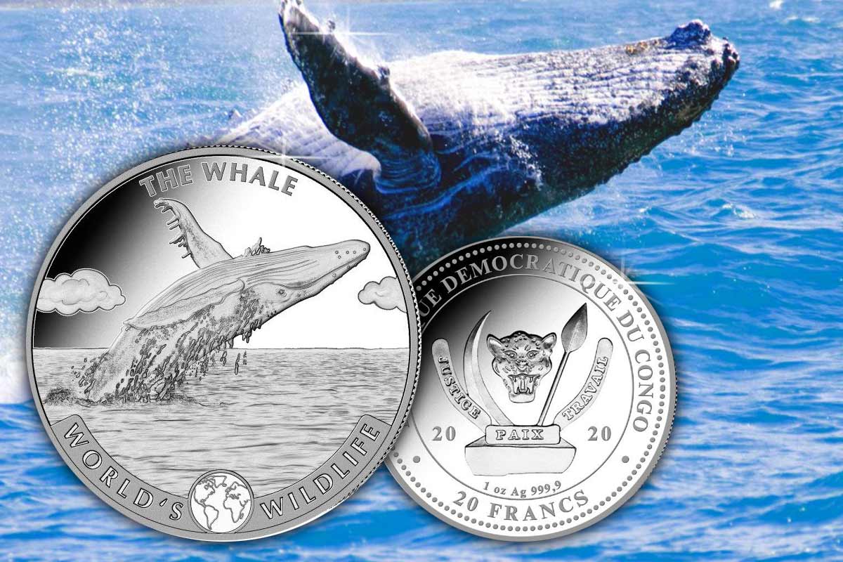 World’s Wildlife Kongo - The Whale 2020 in Silber: Jetzt vergleichen!