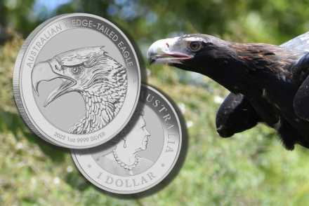 Wedge-tailed Eagle 2022 Silber 1 oz: Jetzt neues Motiv!